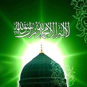 Meet your Posher, Syed adeel